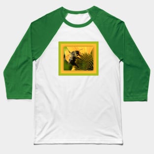 Bumble Bee on Yellow Flower Baseball T-Shirt